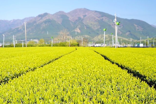 農業・水産業