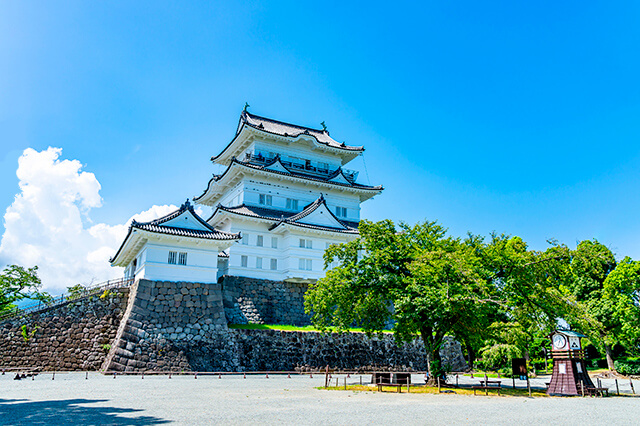 観光・レジャー