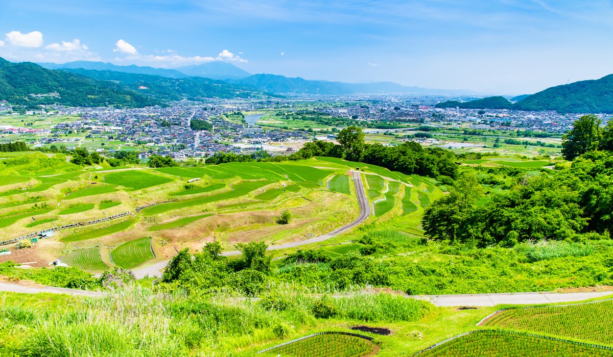 田舎で行う土地活用ランキングTOP10!